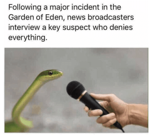 garden of eden snake funny meme