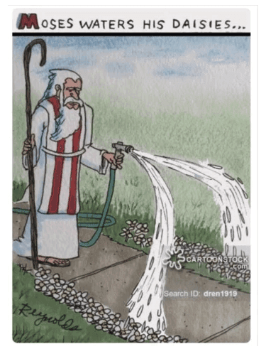 moses watering daisies funny meme